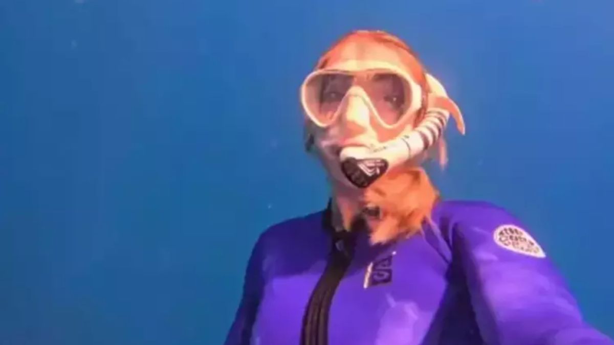 Yasemin Kay Allen'ın bitmeyen tatili! Bu defa okyanusa girdi