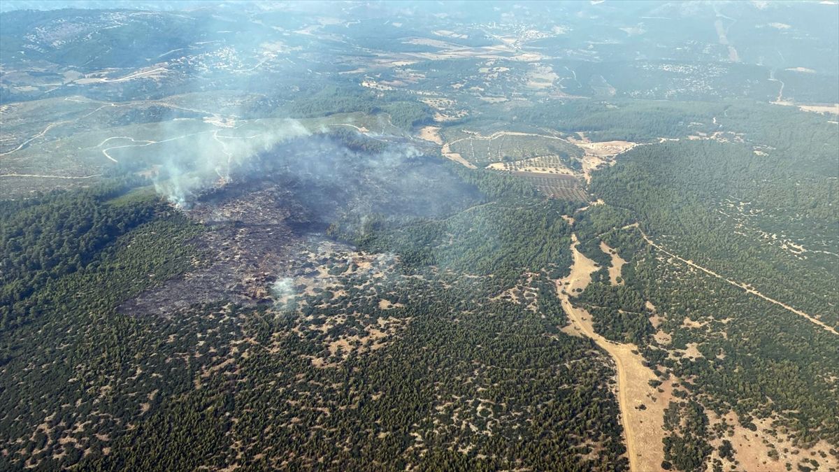 Muğla'da çıkan orman yangını kontrol altında