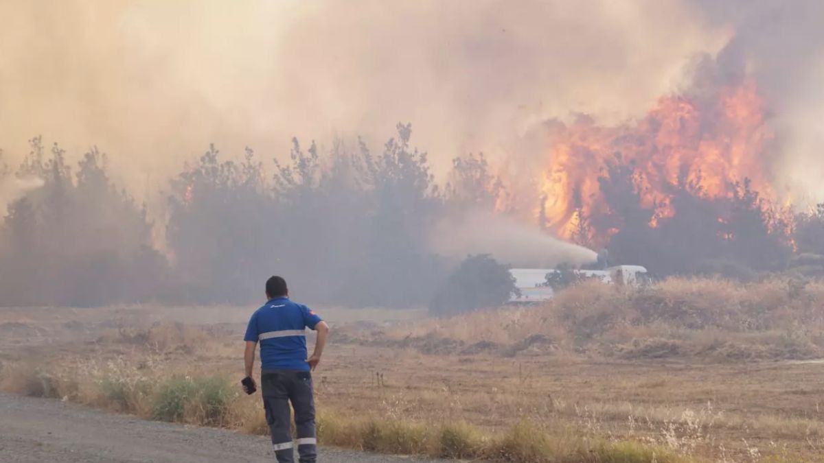 Tekirdağ'da çıkan orman yangını kontrol altında