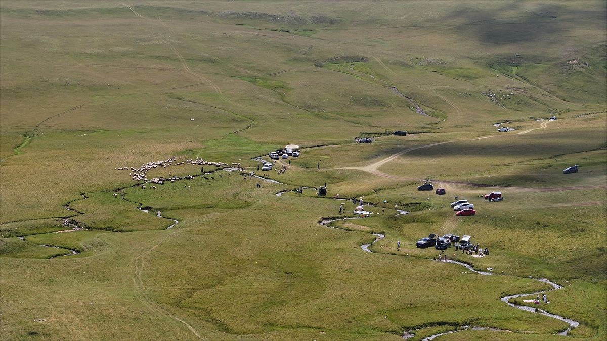 Karadeniz'in zirvesindeki yaylalara turistler yoğun ilgi gösteriyor