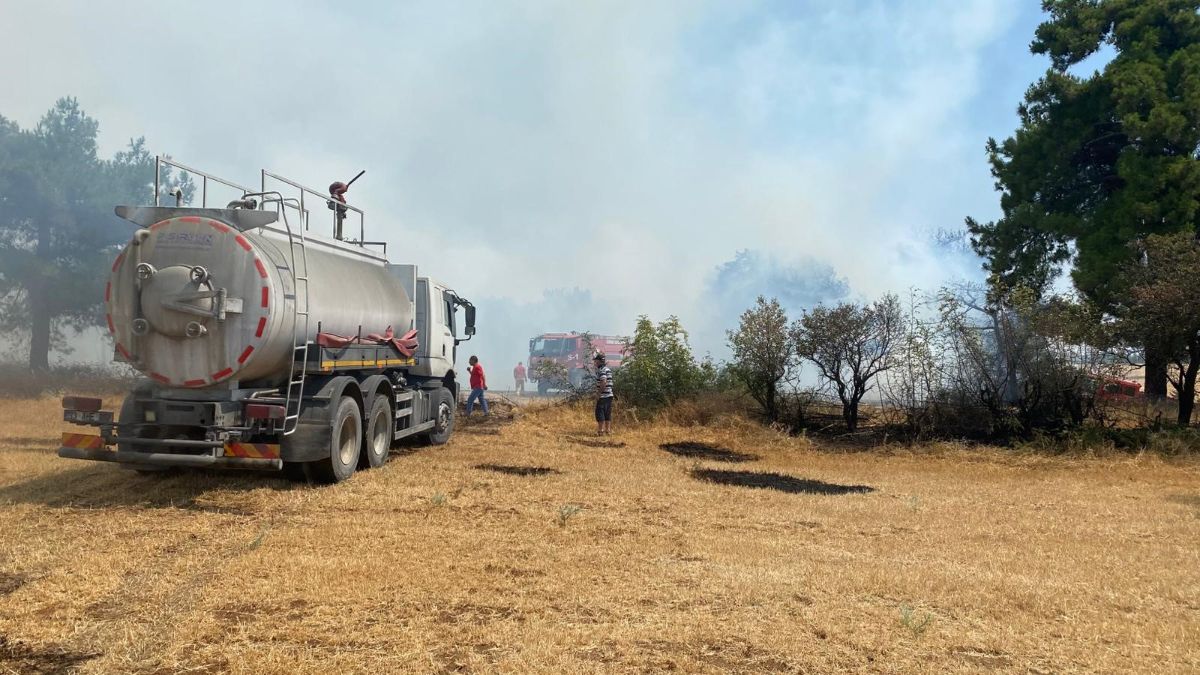 Çanakkale'de orman yangını kontrol altında