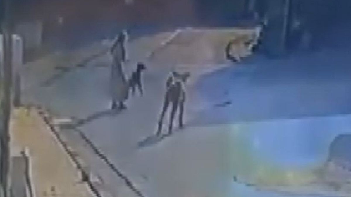 İstanbul'da başıboş sokak köpeklerinin saldırısı kamerada