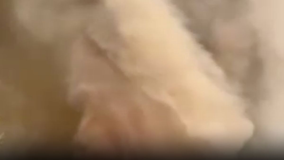 Sakarya'da başlayıp Bilecik'e sıçrayan yangın alev hortumu oluşturdu