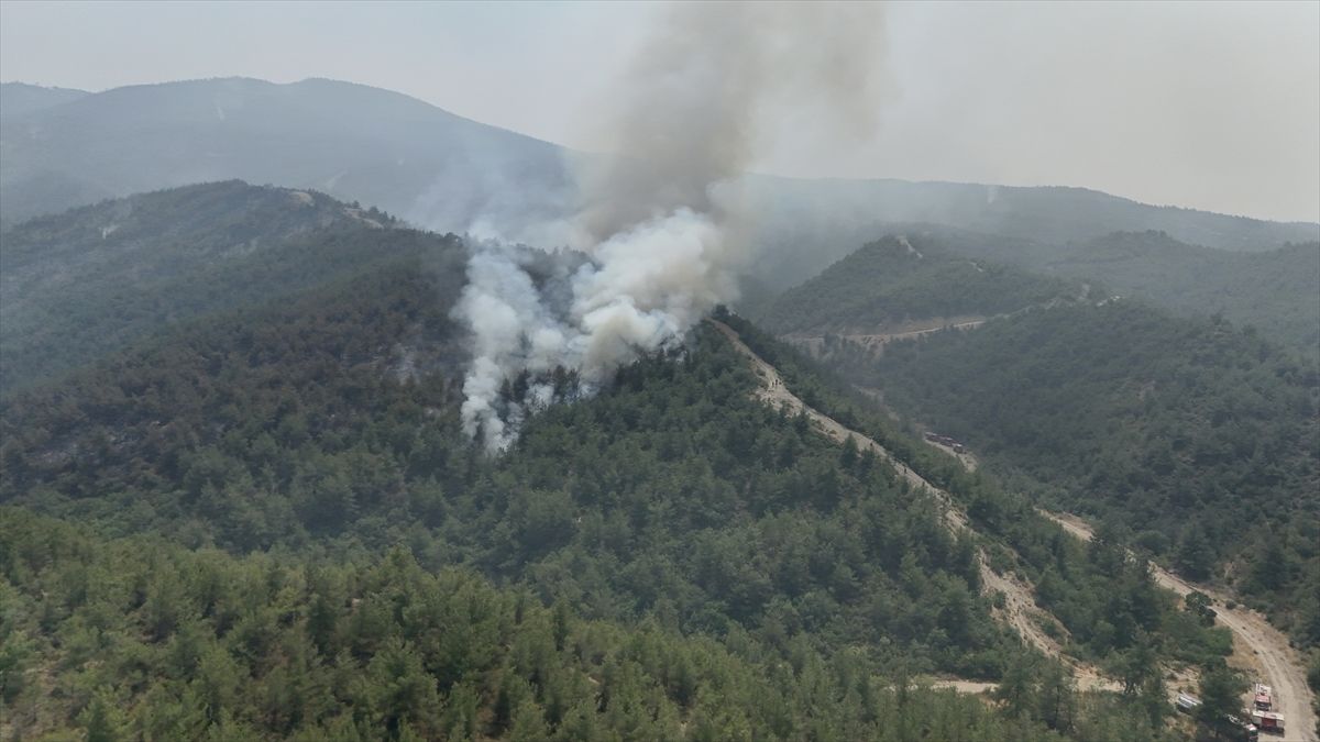 19 günde 61 orman yangını: 23 şüpheli gözaltına alındı