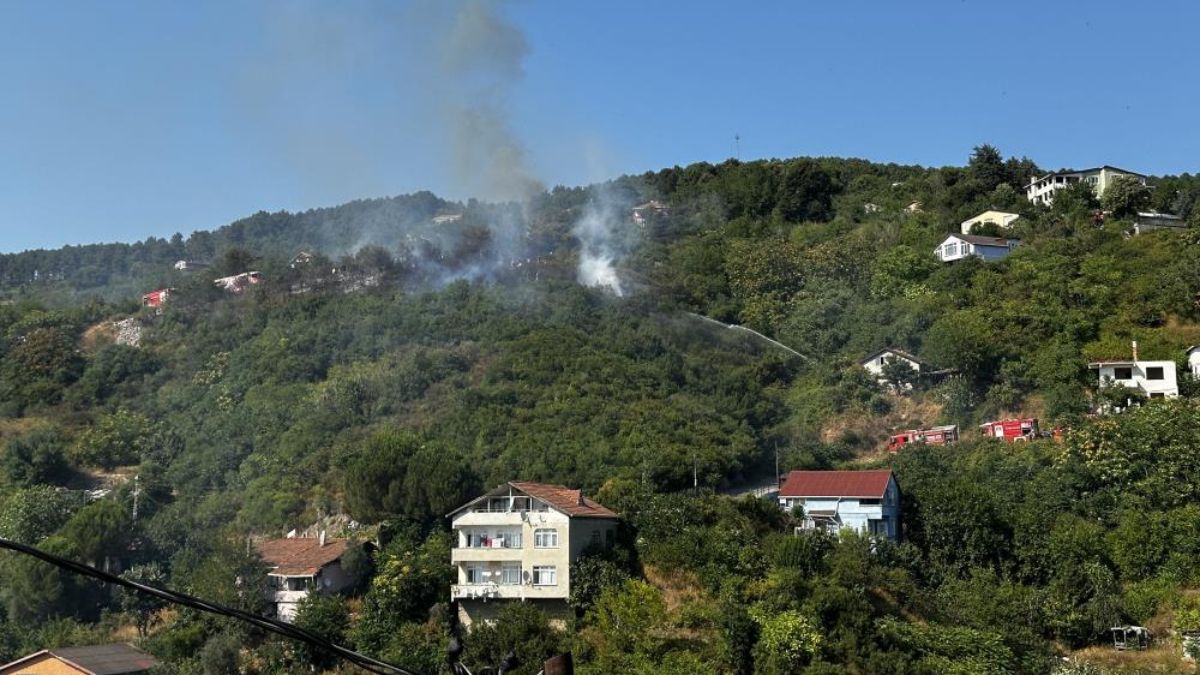 Beykoz'da ormanlık alanda yangın