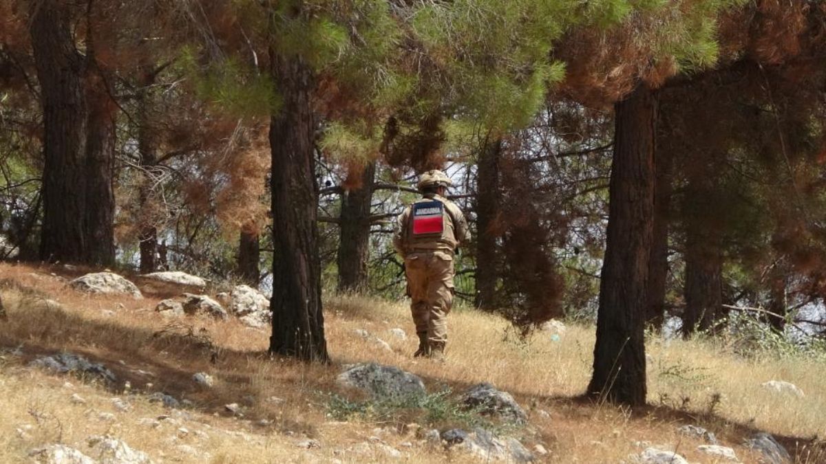 Mehmetçik orman yangınlarına karşı sahada nöbette