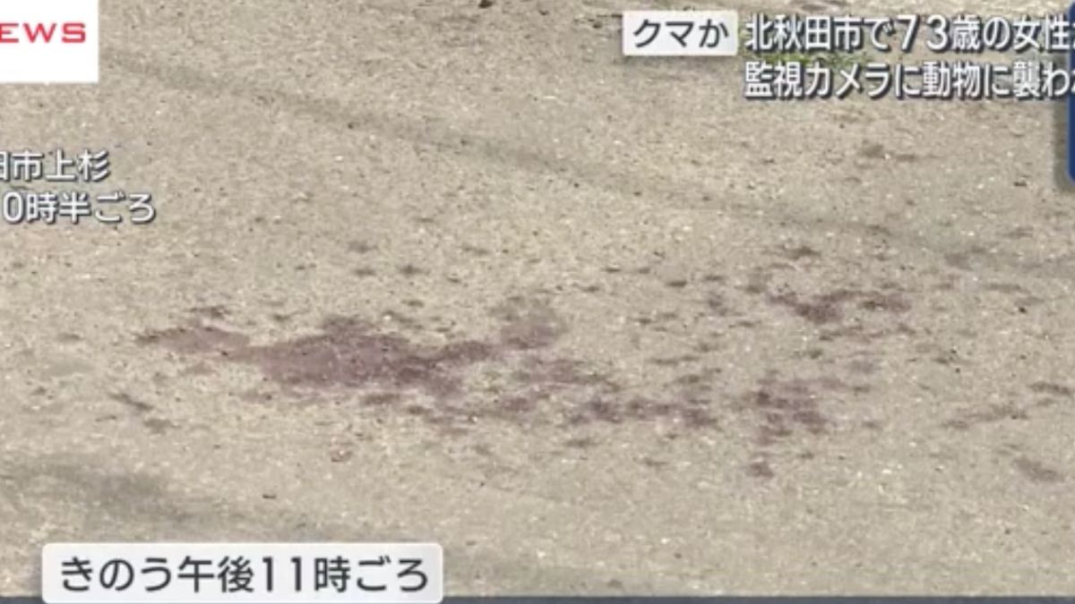 Japonya'da 73 yaşındaki kadına ayı saldırdı