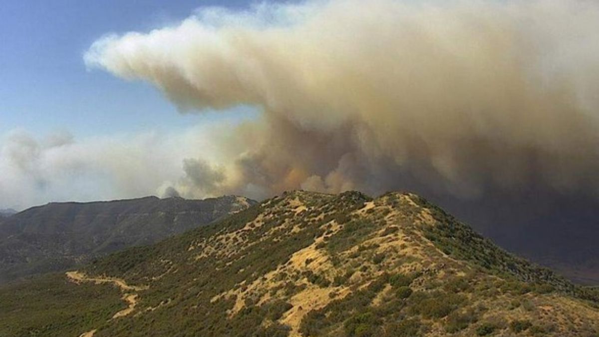 California’daki orman yangını: 12 bin hektar kül oldu