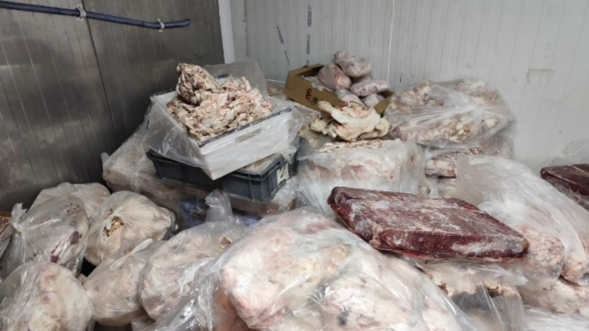 Ankara’da 3 işletmeye operasyon: 11 bin 250 kilo kaçak et ve tavuk ele geçirildi
