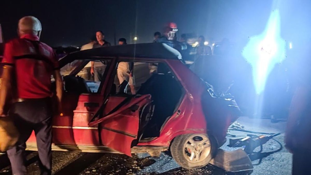 Mersin'de kazada 1 kişi hayatını kaybetti: 2 köpek telef oldu