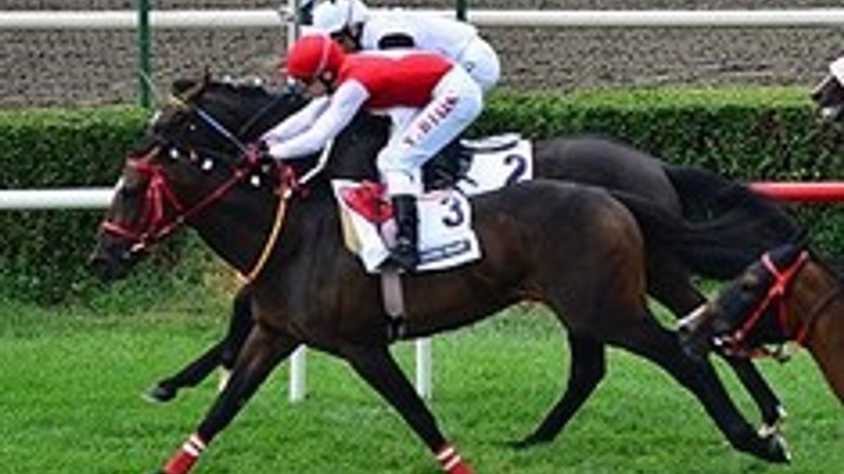 Gazi Koşusu'nu Blaze to Win kazandı