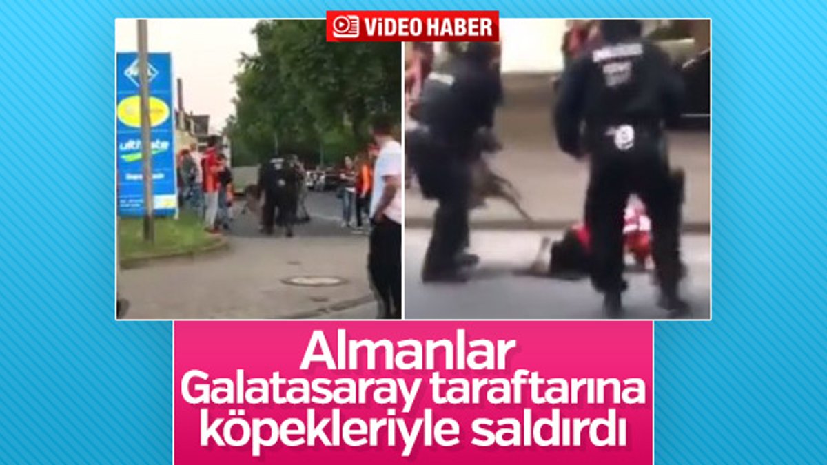 Alman polisinden G.Saray taraftarına köpekli saldırı