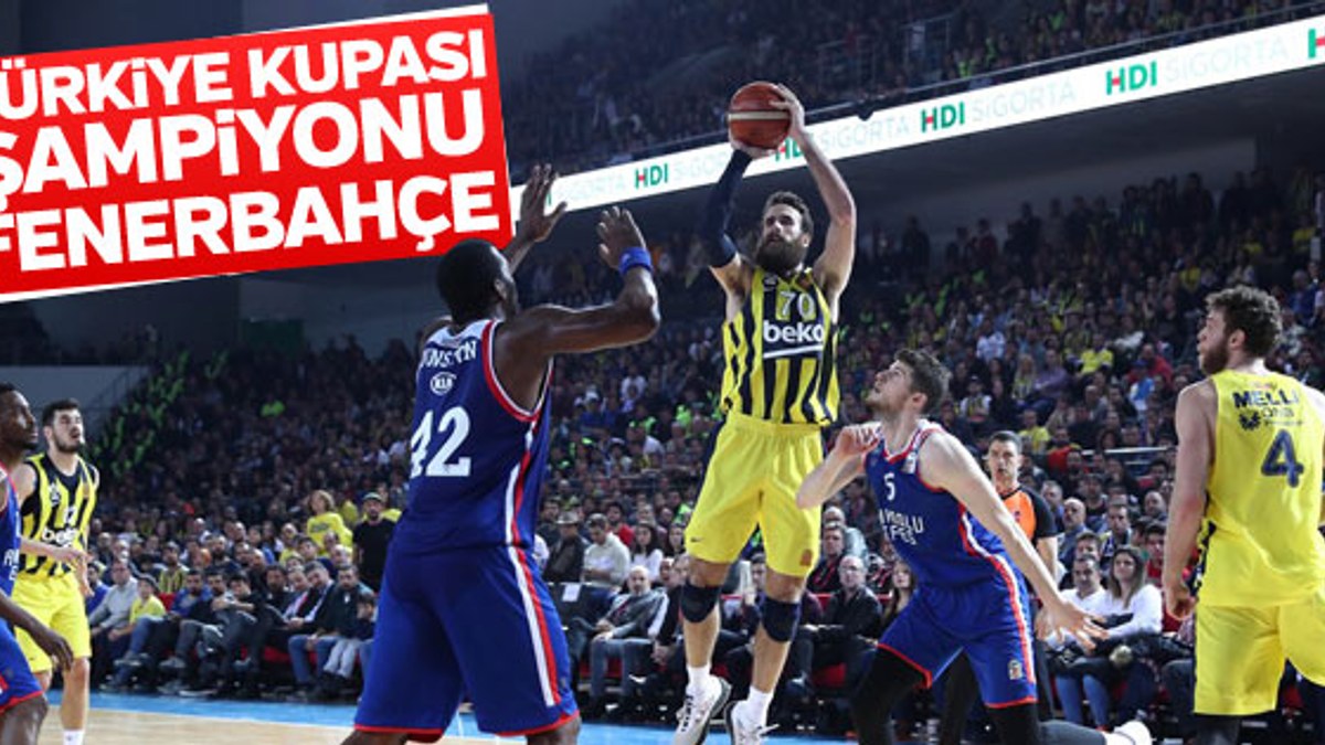 Fenerbahçe, Türkiye Kupası şampiyonu oldu