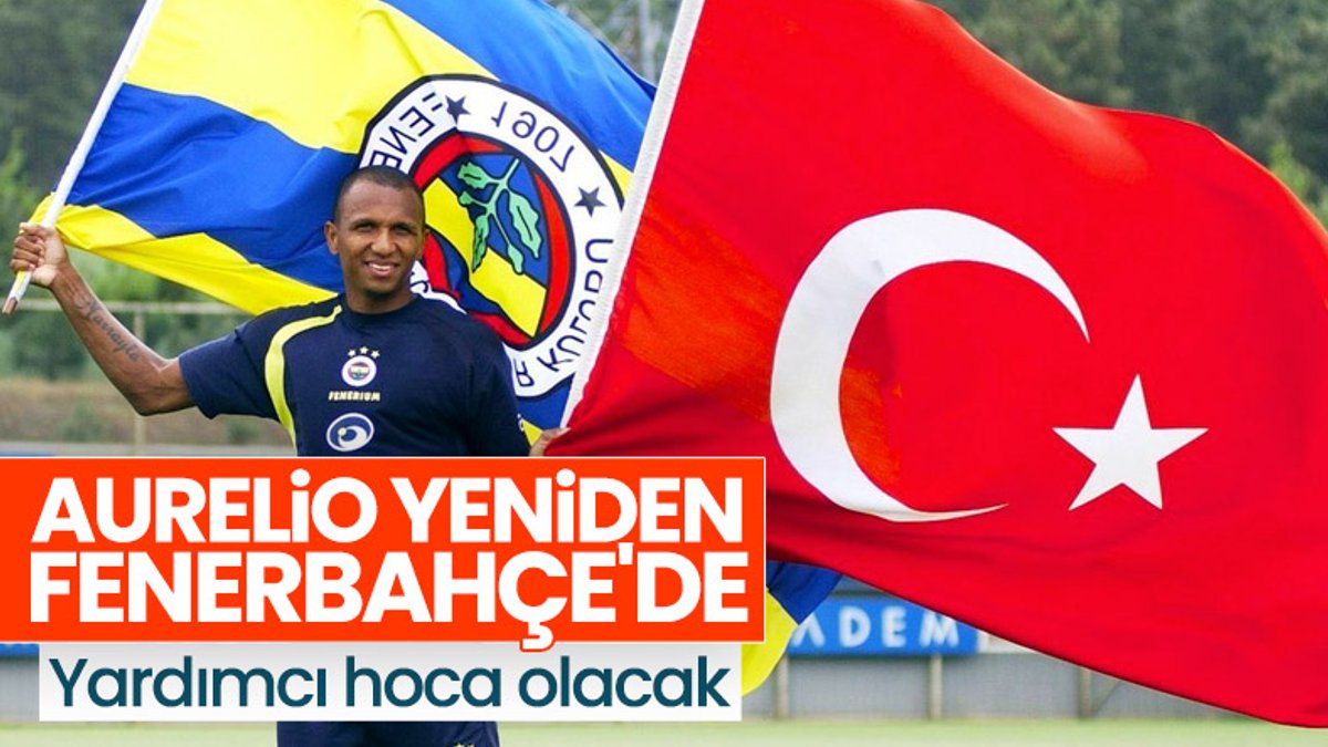 Mehmet Aurelio, Fenerbahçe'de
