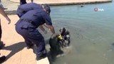 Samsun'da dalgıçlar denizin dibini temizledi: Neler çıktı neler