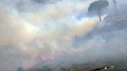 Sicilya Adası'nda orman yangınları: Yerleşimler tehdit altında