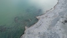 Kuş cenneti Arin Gölü, tehlike altında