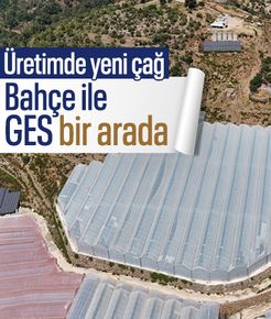 Antalya'da tropikal meyve bahçesi ve güneş enerjisi yatırımı bir arada