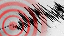 Yeni Zelanda’da deprem
