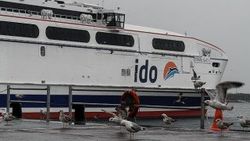 İDO ve BUDO'da bazı seferler iptal edildi