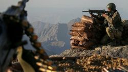 Bitlis'te 3 terörist etkisiz hale getirildi