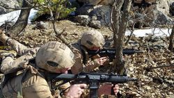 Şırnak'ta 2 terörist öldürüldü