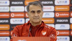 Şenol Güneş: Kulüp takımlarına dönmeyi düşünmüyorum