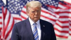 Trump, bazı Avrupa ülkeleri ve Brezilya'ya seyahat yasağını kaldırdı