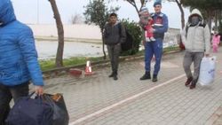 Edirne'de 417 düzensiz göçmen yakalandı