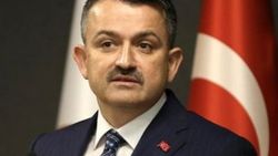 Pakdemirli: THK uçaklarının uçmayla ilgili problemi var