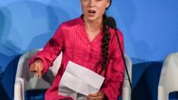 Greta Thunberg'in adı, bir böcek türüne verildi
