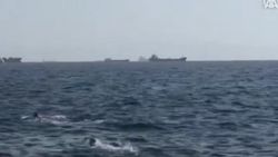 İstanbullular sıcak havayı denize girerek değerlendirdi