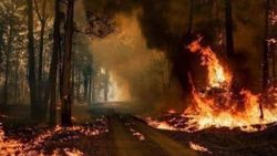 Avustralya’da birçok ülke elçiliklerini kapatıyor