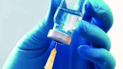 Türkiye'de korona aşısı için anti serum hayvanlara verilecek