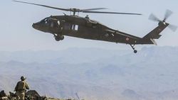 Şırnak'ta PKK'lı 2 terörist öldürüldü