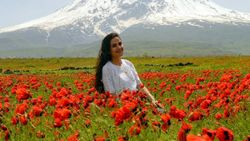 Ağrı Dağı'nda gelinciklerin güzelliği