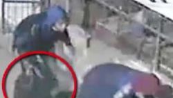 Gaziantep'te güvercin çalan hırsız yakalandı