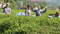 Çay üreticileri, ailece bahçeye girdi