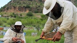Hakkari'de bal üretimi başladı