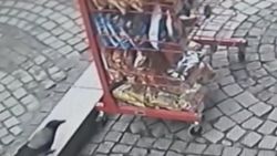 Kastamonu'da cipslere dadanan kargalar