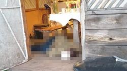 Ukrayna'da tartıştığı 7 kişiyi öldürdü