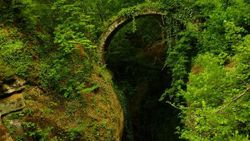 Artvin'de, tarihi kemer köprü keşfedildi
