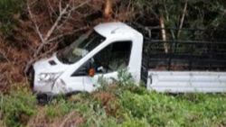 Mersin'de kamyonet ormanlık alana düştü: 3 yaralı
