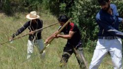 Bingöl'de dede mirası tırpan, dengbejlikle yaşatılıyor