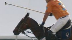 Polo sporu nedir