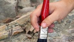 Dünyanın en küçük dinozor yumurtası fosili bulundu