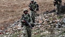 Bitlis'te öldürülen 2 terörist gri listedeydi