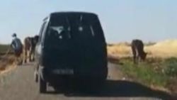 Diyarbakır'da ölü sıpayı aracına bağlayıp sürükledi