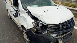 Bilecik'te kamyonet ineğe çarptı