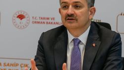 Pakdemirli: 7 alanda destek ödemelerine başlıyoruz
